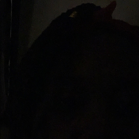 jackiefrazier8